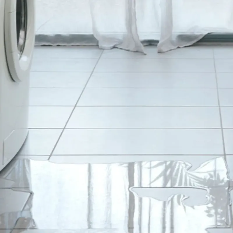 Appliance Leak Cleanup in Pittsfield, NH