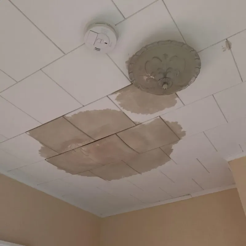 Ceiling Water Damage Repair in Pittsfield, NH