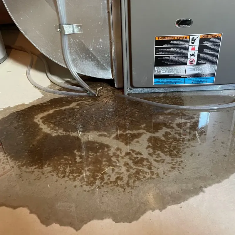 Pipe Burst and Leak Restoration in Pittsfield, NH