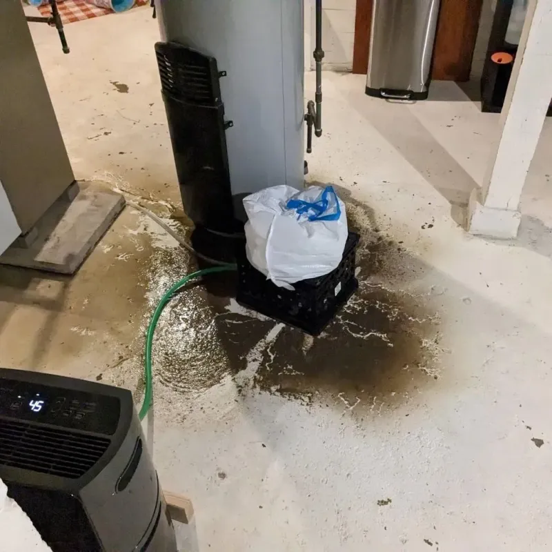 Sewage Backup Cleanup Service in Pittsfield, NH